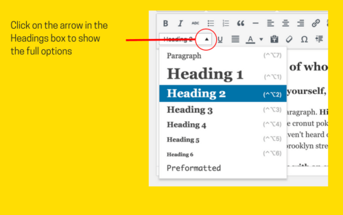 Headings in the WordPress Visual Editor