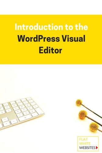 Introduction to the WordPress Visual Editor