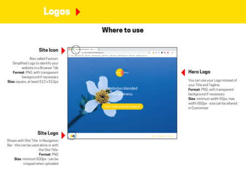 Infographic on Logo Sizes for Flat White websites