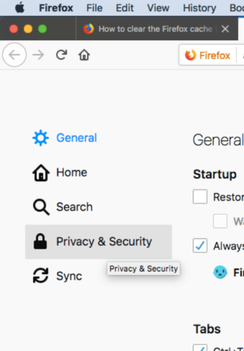 Screenshot showing privacy and security option